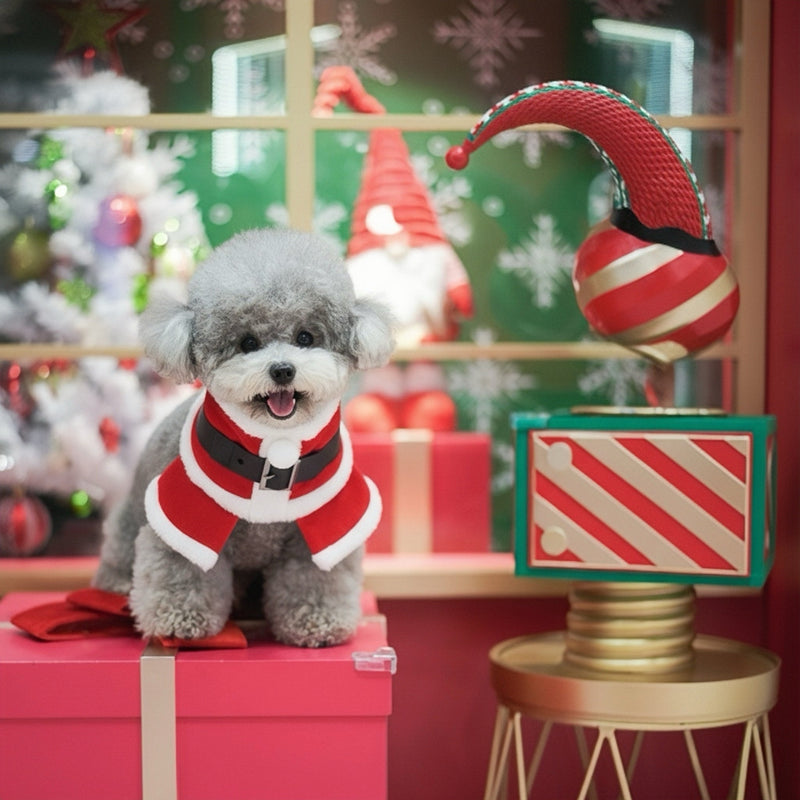 [Pre-order] MOMOJI Santa Claus | Pet Christmas Neckwear
