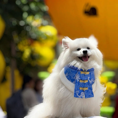 MOMOJI Regal 天策 | Pet LNY Neckwear