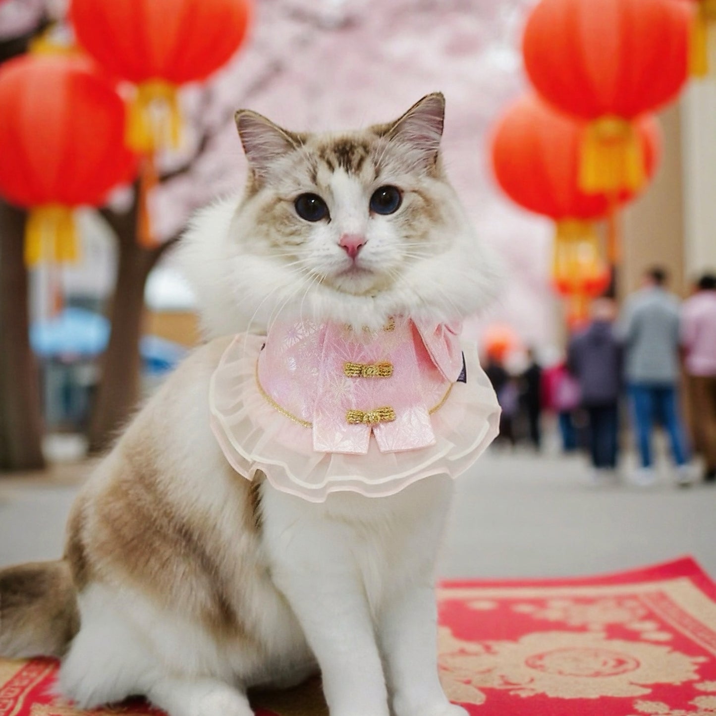 MOMOJI Grandeur 昭華 | Pet LNY Neckwear