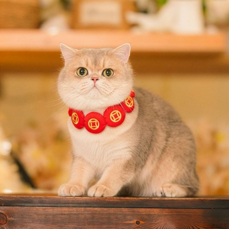 MOMOJI Prosperity Medallion 聚財圓 | Pet LNY Neckwear