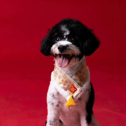 MOMOJI Fiesta 嘉慶 | Pet LNY Neckwear
