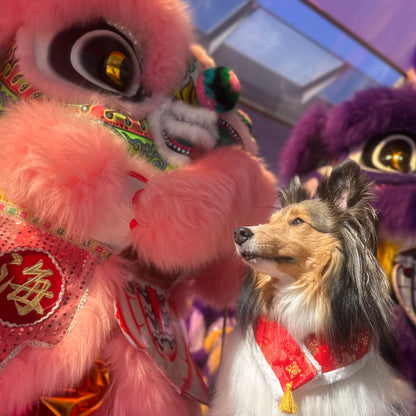 MOMOJI Fiesta 嘉慶 | Pet LNY Neckwear