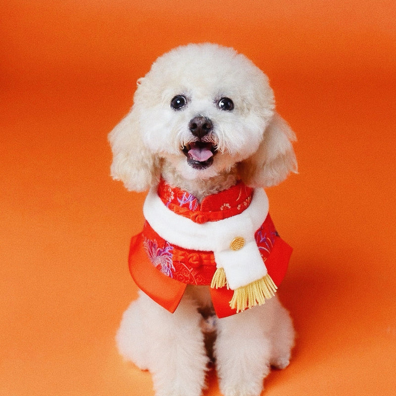 MOMOJI Valor 鴻運 | Pet LNY Neckwear