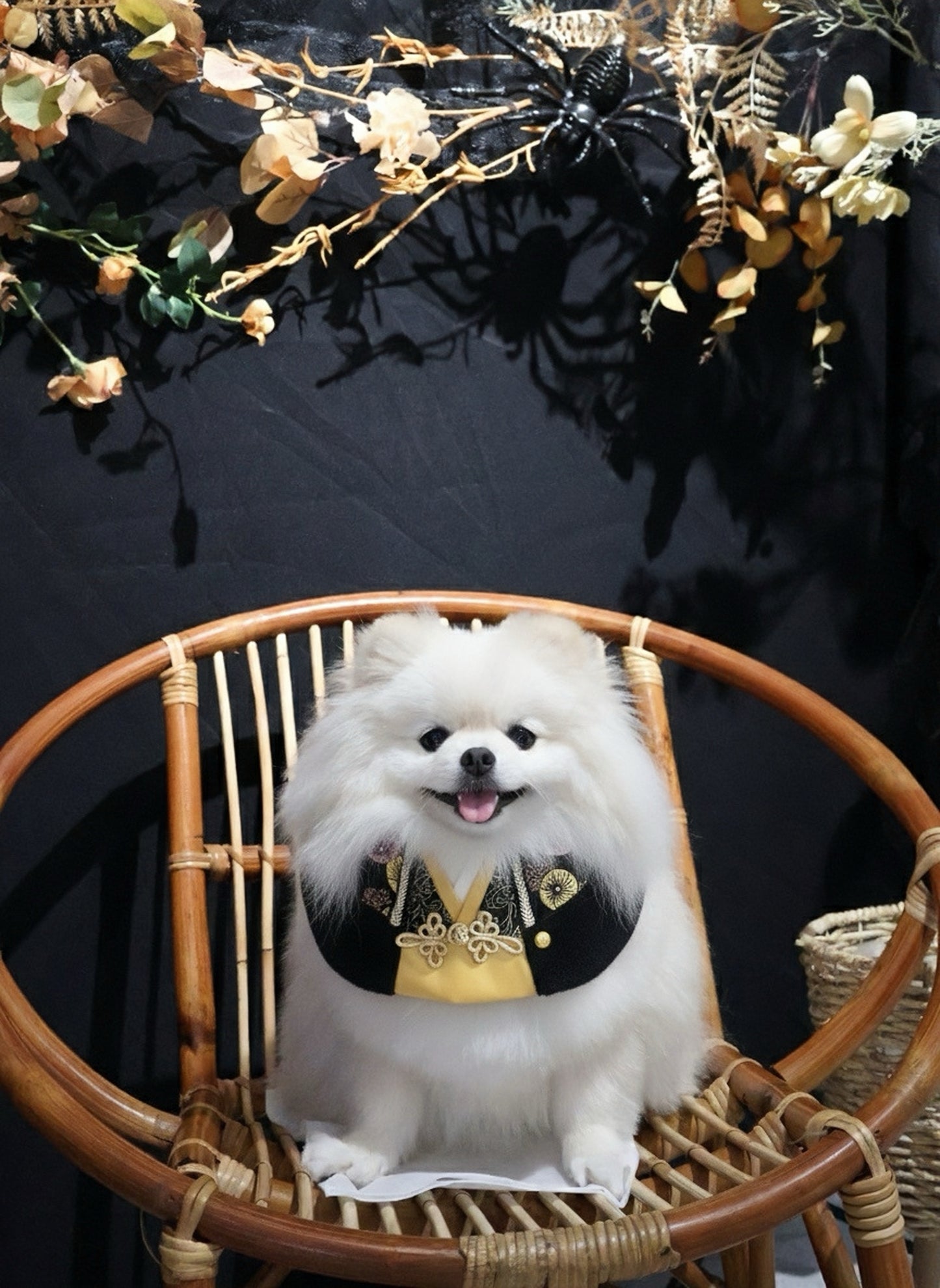 MOMOJI Gala 慶豐 | Pet LNY Neckwear