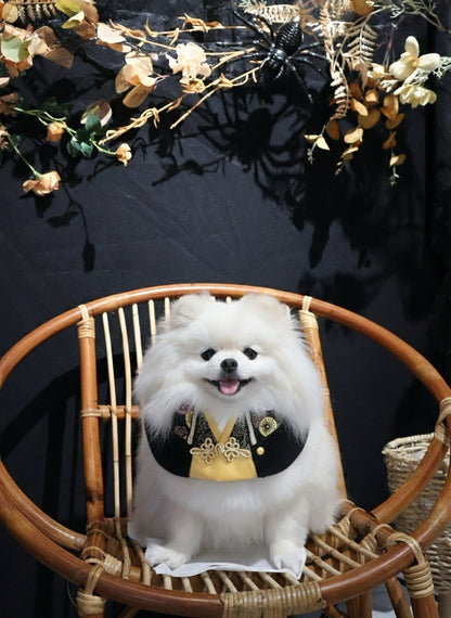 MOMOJI Gala 慶豐 | Pet LNY Neckwear
