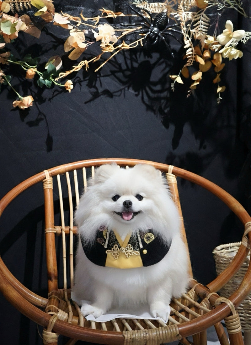 MOMOJI Gala 慶豐 | Pet LNY Neckwear