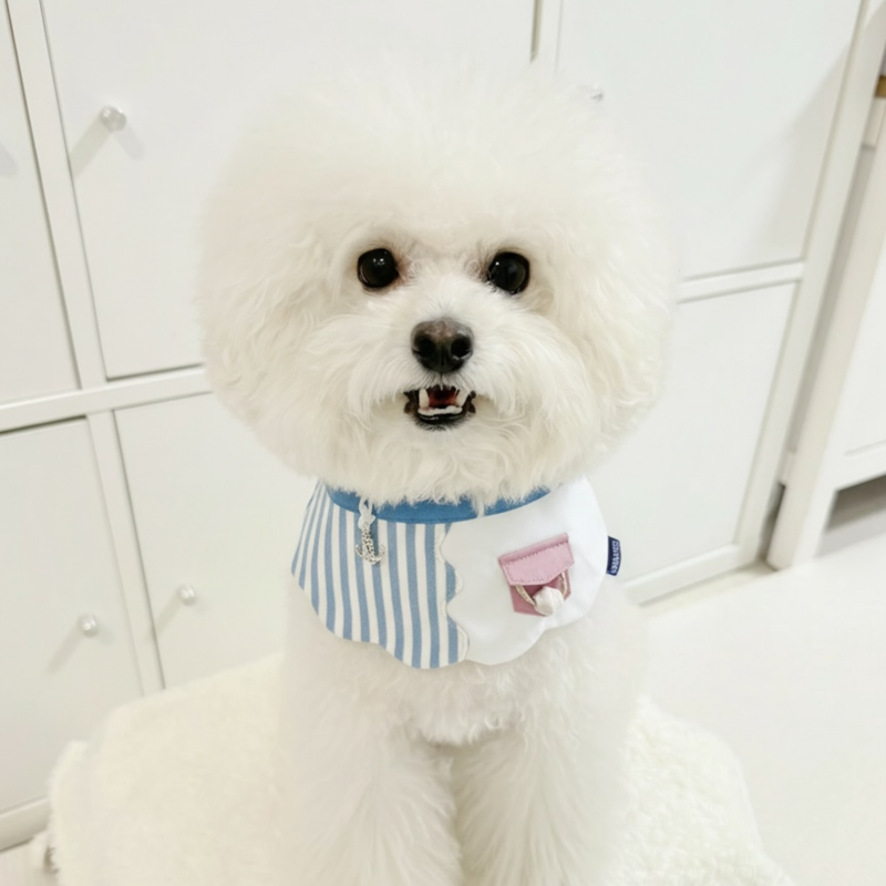 MOMOJI Marseille (2-Breton Stripe Moonstone) | Pet Neckwear