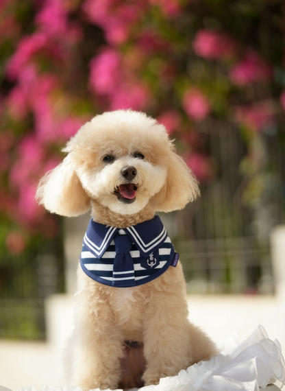 [Pre-order] MOMOJI Santiano (1-Heritage Stripe Navy) | Pet Neckwear