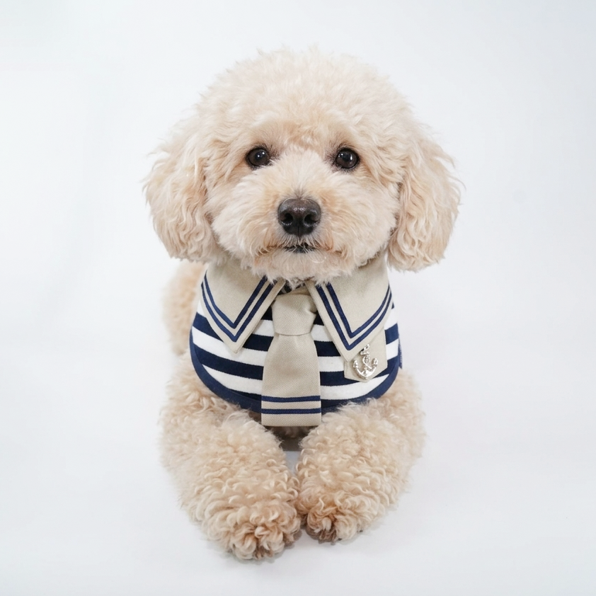 MOMOJI Santiano (2-Sandstone & Navy) | Pet Neckwear