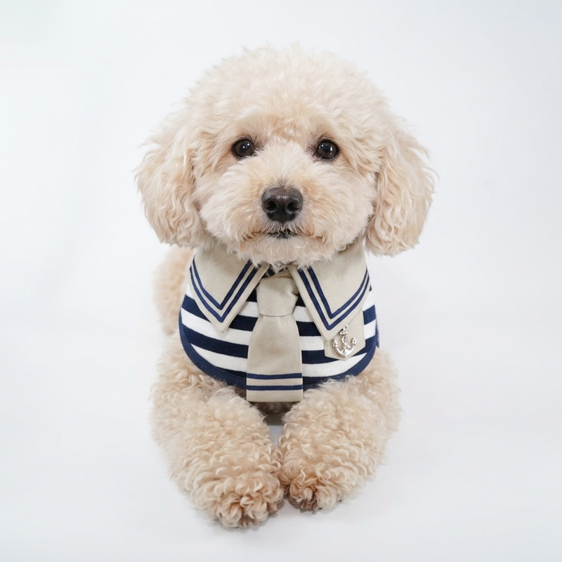 MOMOJI Santiano (2-Sandstone & Navy) | Pet Neckwear