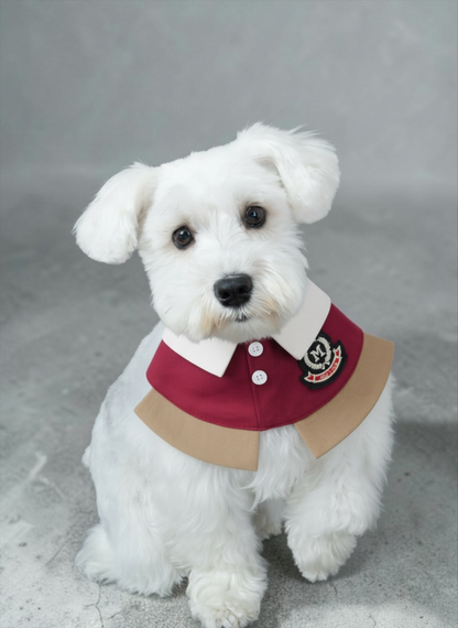MOMOJI Brest (2-Bordeaux Red) | Pet Neckwear