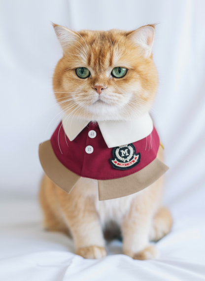MOMOJI Brest (2-Bordeaux Red) | Pet Neckwear
