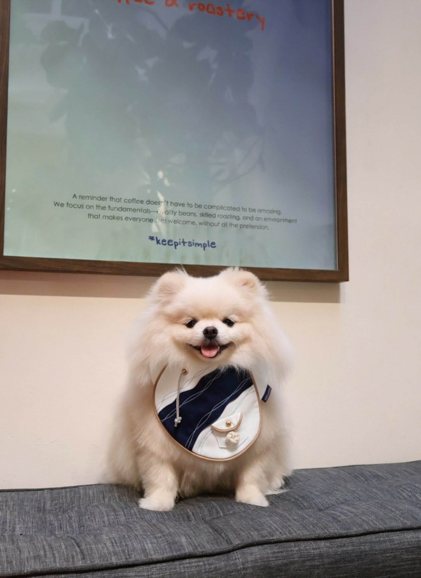 [Pre-order] MOMOJI Antibes (2-French Riviera Blue) | Pet Neckwear