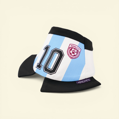 [Pre-order] Momoji FC (2-Bueno Aires Stripes) | Pet Neckwear