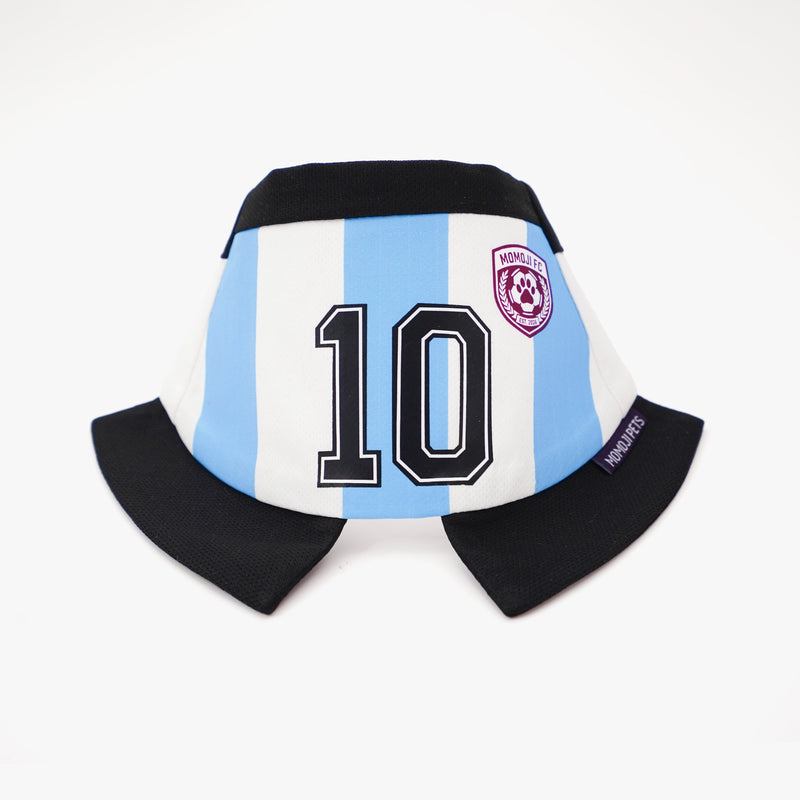 [Pre-order] Momoji FC (2-Bueno Aires Stripes) | Pet Neckwear