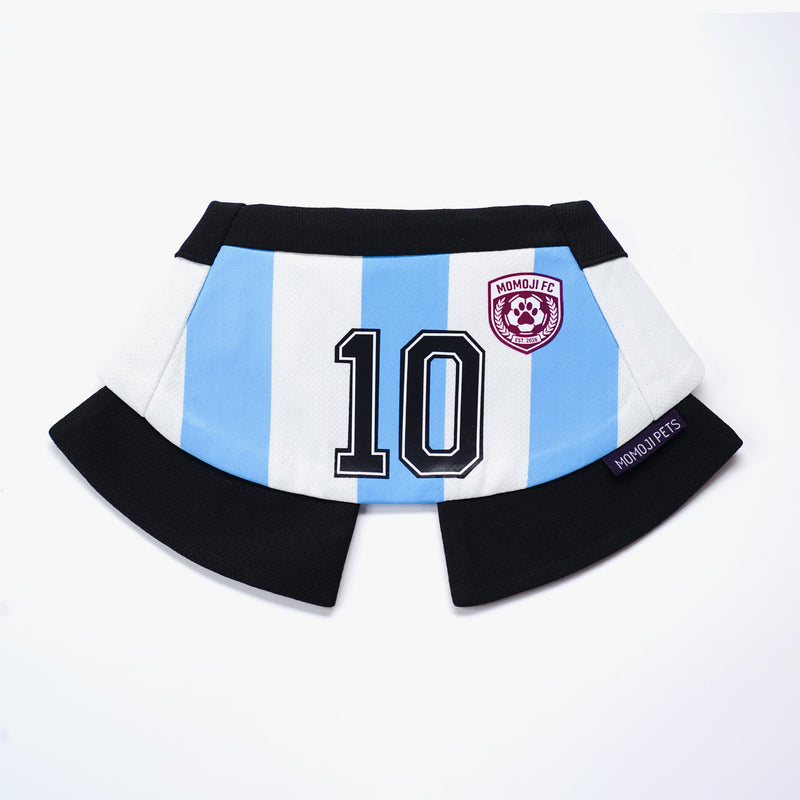 [Pre-order] Momoji FC (2-Bueno Aires Stripes) | Pet Neckwear