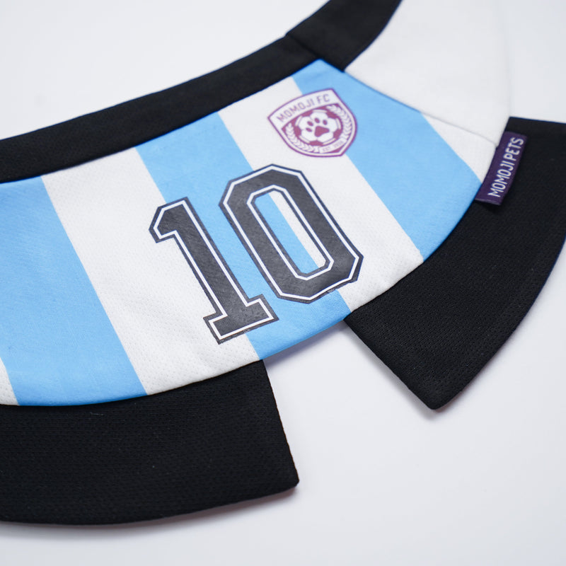 [Pre-order] Momoji FC (2-Bueno Aires Stripes) | Pet Neckwear