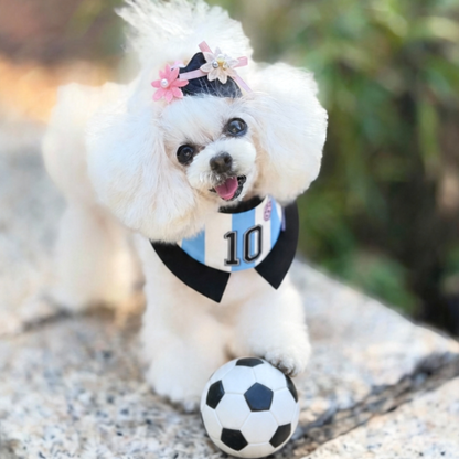 [Pre-order] Momoji FC (2-Bueno Aires Stripes) | Pet Neckwear