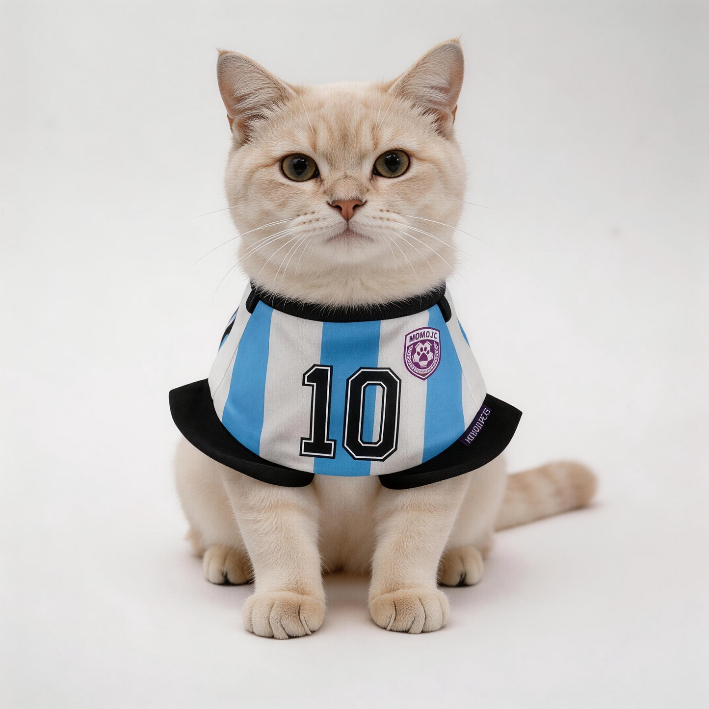 [Pre-order] Momoji FC (2-Bueno Aires Stripes) | Pet Neckwear