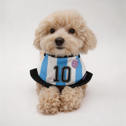 [Pre-order] Momoji FC (2-Bueno Aires Stripes) | Pet Neckwear