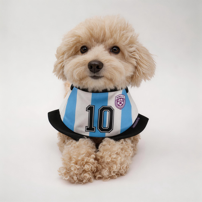 [Pre-order] Momoji FC (2-Bueno Aires Stripes) | Pet Neckwear