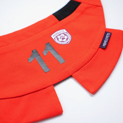 [Pre-order] Momoji FC (3-Amsterdam Orange) | Pet Neckwear