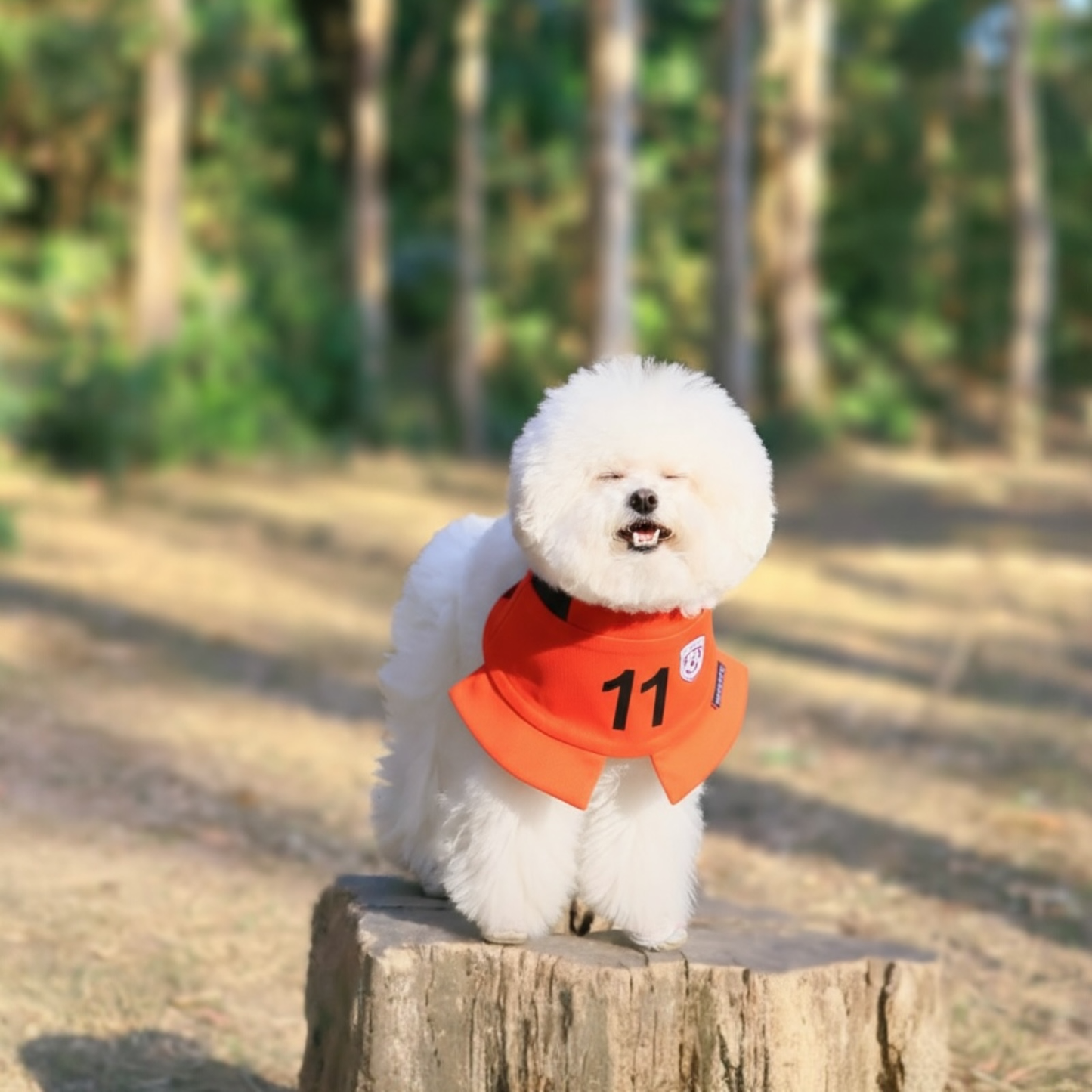 [Pre-order] Momoji FC (3-Amsterdam Orange) | Pet Neckwear