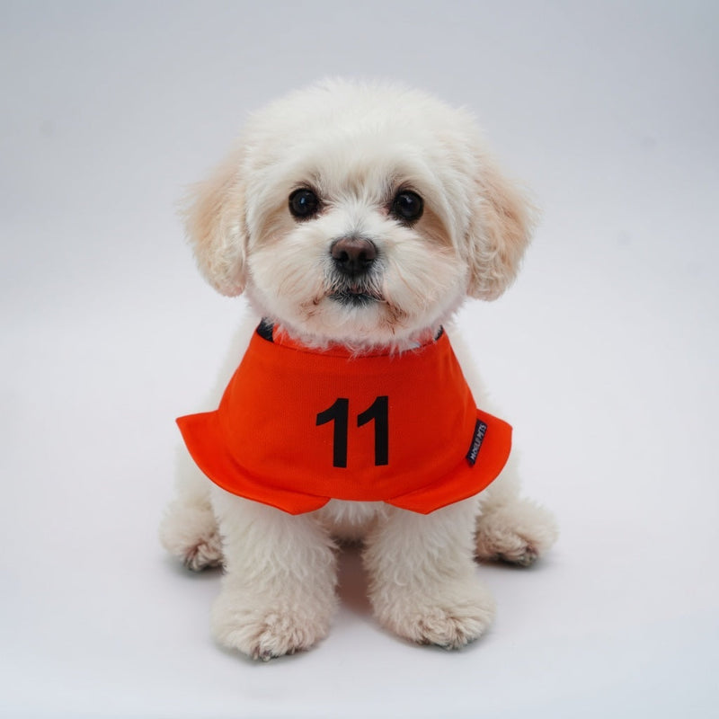 [Pre-order] Momoji FC (3-Amsterdam Orange) | Pet Neckwear