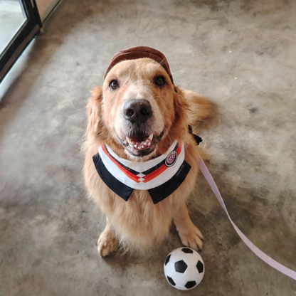 [Pre-order] Momoji FC (4-Berlin Mixed) | Pet Neckwear