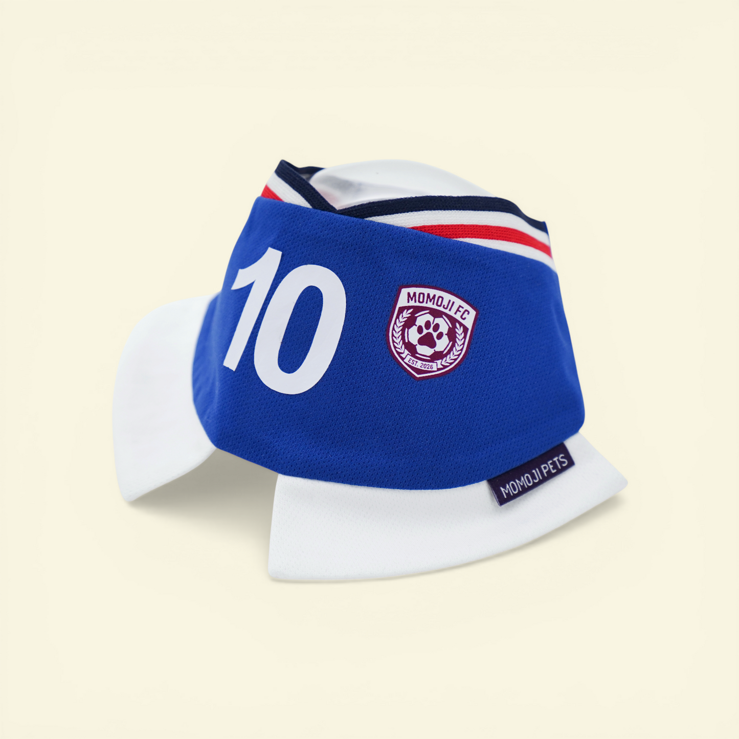 [Pre-order] Momoji FC (5-Rome Blue) | Pet Neckwear