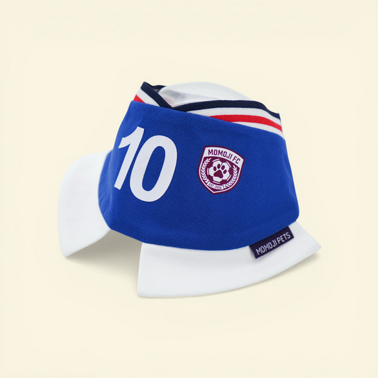 [Pre-order] Momoji FC (5-Rome Blue) | Pet Neckwear