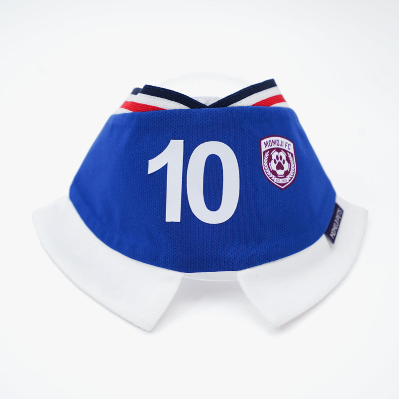[Pre-order] Momoji FC (5-Rome Blue) | Pet Neckwear