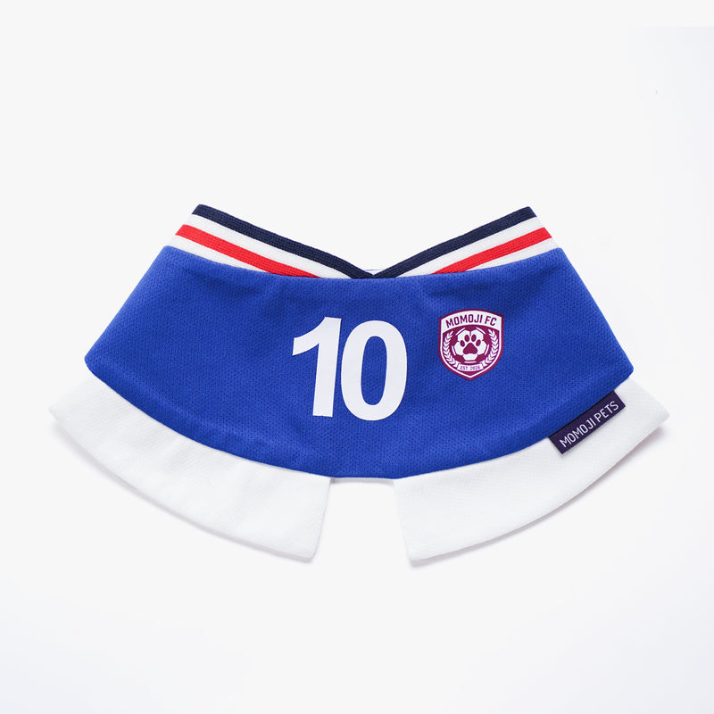 [Pre-order] Momoji FC (5-Rome Blue) | Pet Neckwear