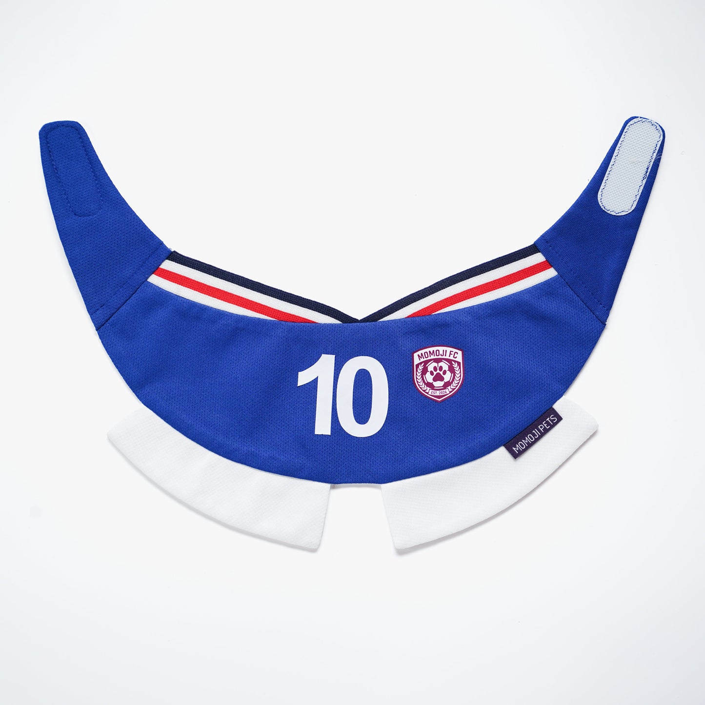 [Pre-order] Momoji FC (5-Rome Blue) | Pet Neckwear