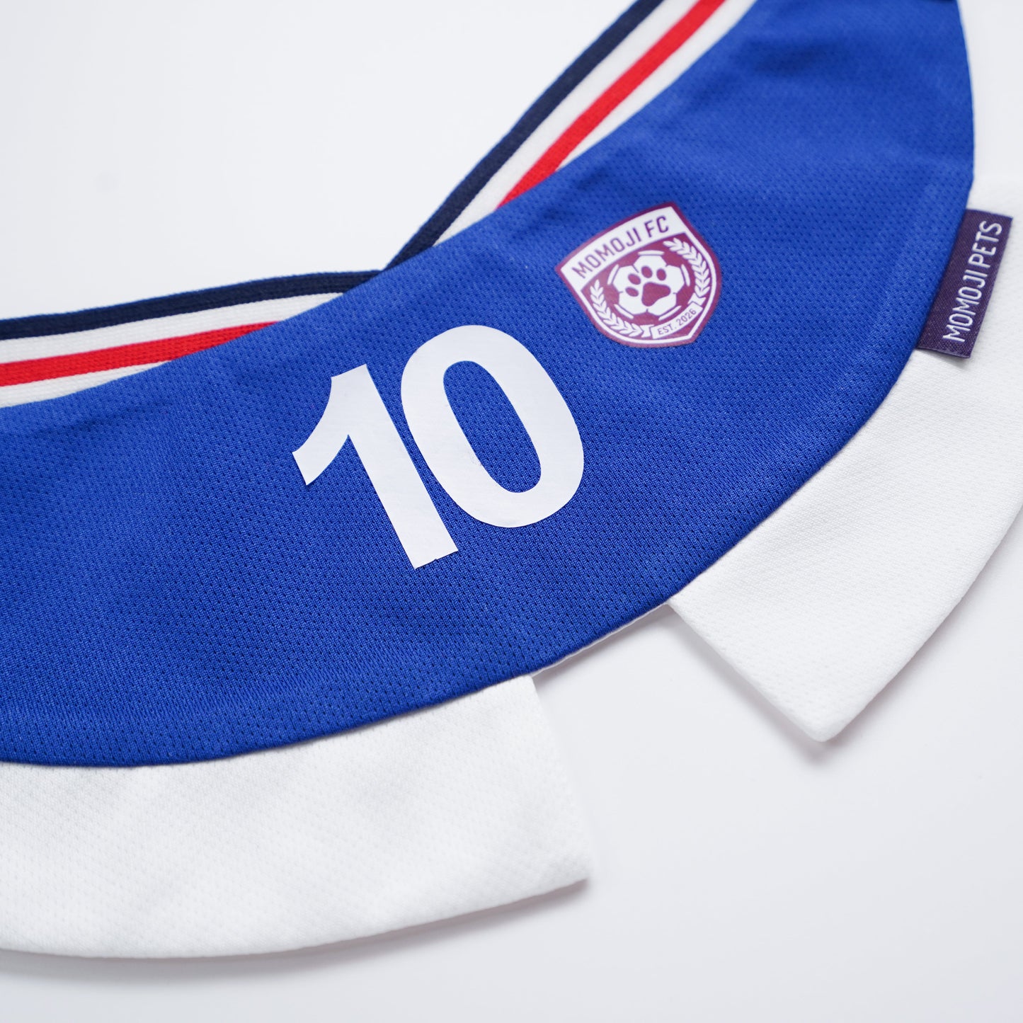 [Pre-order] Momoji FC (5-Rome Blue) | Pet Neckwear