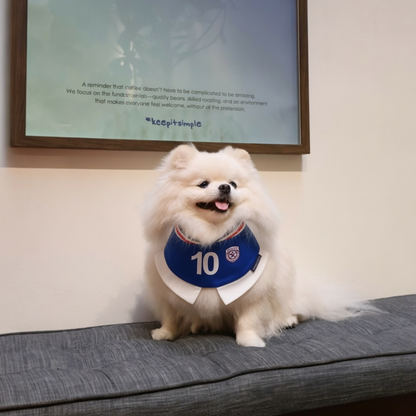 [Pre-order] Momoji FC (5-Rome Blue) | Pet Neckwear