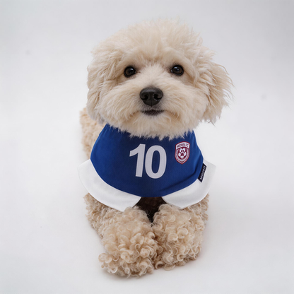 [Pre-order] Momoji FC (5-Rome Blue) | Pet Neckwear