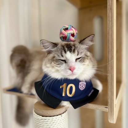 [Pre-order] Momoji FC (6-Paris Navy) | Pet Neckwear