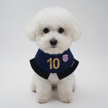 [Pre-order] Momoji FC (6-Paris Navy) | Pet Neckwear