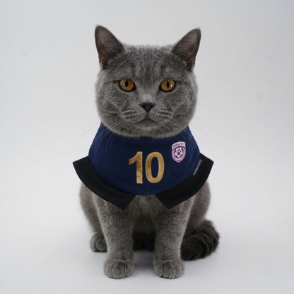 [Pre-order] Momoji FC (6-Paris Navy) | Pet Neckwear
