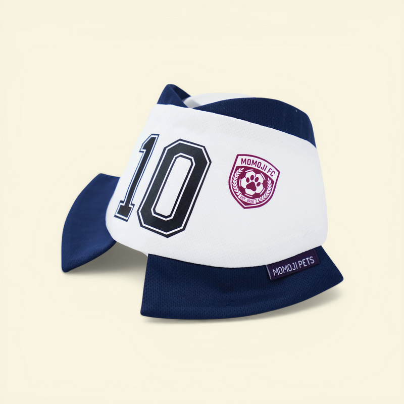 [Pre-order] Momoji FC (7-London White) | Pet Neckwear