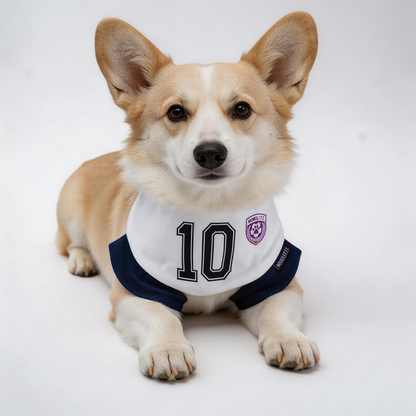 [Pre-order] Momoji FC (7-London White) | Pet Neckwear