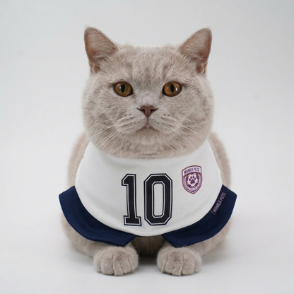 [Pre-order] Momoji FC (7-London White) | Pet Neckwear
