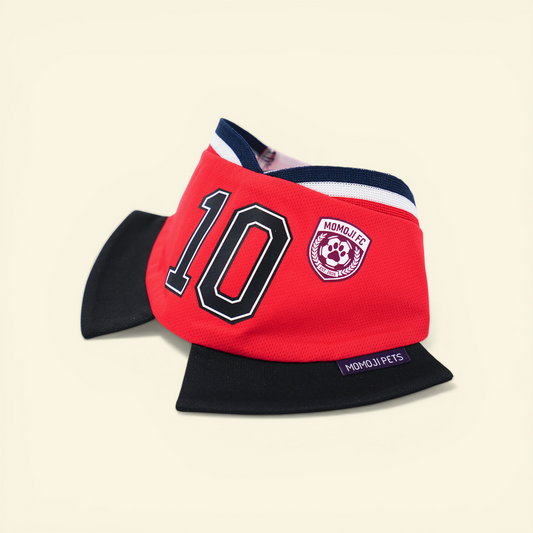 [Pre-order] Momoji FC (8-Manchester Red) | Pet Neckwear