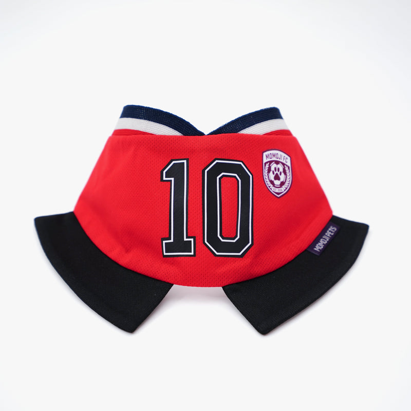 [Pre-order] Momoji FC (8-Manchester Red) | Pet Neckwear