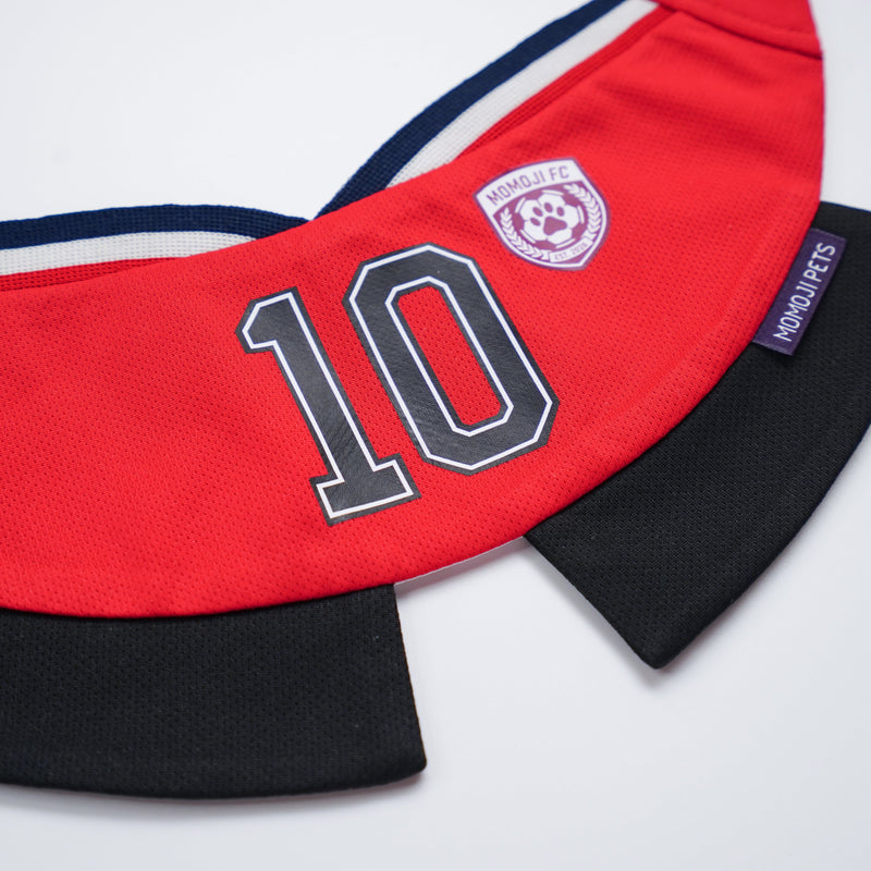 [Pre-order] Momoji FC (8-Manchester Red) | Pet Neckwear