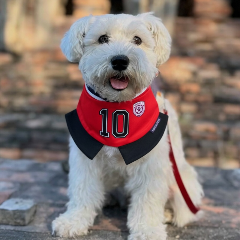 [Pre-order] Momoji FC (8-Manchester Red) | Pet Neckwear