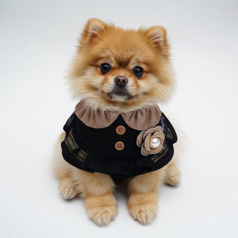 MOMOJI Covent (1-Classic Black & Camel Tan) | Pet Neckwear