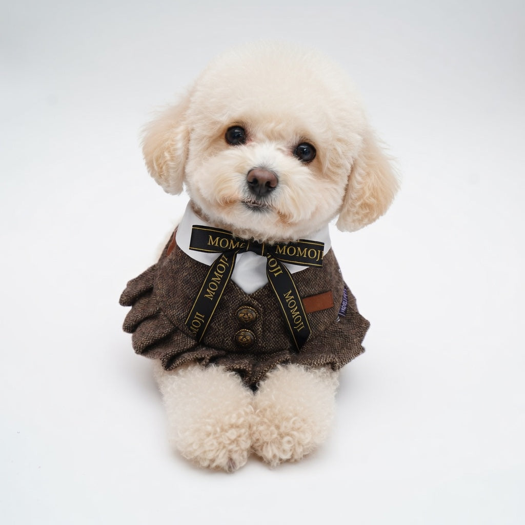MOMOJI Picadilly (1-Vintage Brown Tweed) | Pet Neckwear