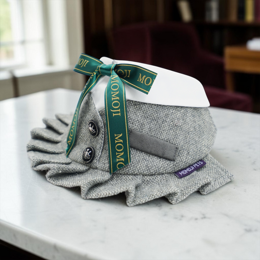MOMOJI Picadilly (2-Light Gray Tweed) | Pet Neckwear